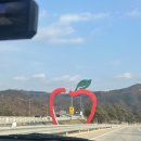 청송갈비 | 연말여행(2) - 소노벨 청송 숙박 후기(청송당 베이커리 PKG) | 가원갈비 | 솔샘온천 | 청송 얼음골 빙벽