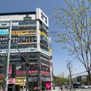 탑핏피티스튜디오 이미지