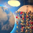 숲사랑(산불방지)홍보관 | 강릉신상핫플 숲사랑홍보관 미디어아트관