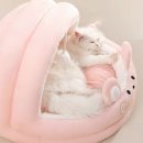 큐티하우스 이미지