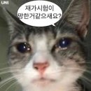 뚜비두밥