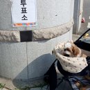 현풍닭칼국수김천 이미지