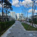 파르세나 세탁소 네이버블로그
