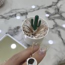 릴리뷰티끄 | 연신내 속눈썹 미인점 시술 후기 : 릴리뷰티끄