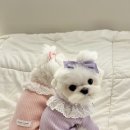 앤무드(N.mood) 이미지