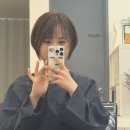 청담동 미용실 커티즘바이 성형커트 전문 단발컷 여름 염색 만족 후기