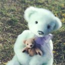 테디베어 이미지