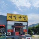 새말반점 이미지