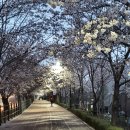 군자교남단 이미지