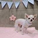 문수동물병원 이미지