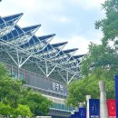 소확행 | 7월 일상, 소확행 기록 (+콘서트 후기)