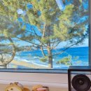 쉼표고성2 이미지