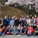 청양 5리 이미지