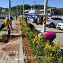 국지도22호선 이미지