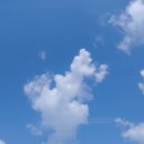 지산농원 이미지