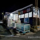 애월맛집 / 돌빌레 식당 도민추천으로 가게된 작은 로컬 횟집!