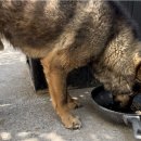 재왕 농장 이미지