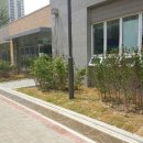 하남시종합사회복지관(1층) 이미지