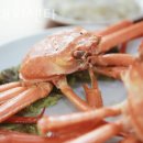 막내회센타 | 신길동횟집 막내회센타 가격 위치 영업시간