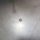 맥스동물병원 이미지