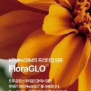 트루지니 네이버블로그