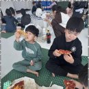 늘푸른 태권도장 이미지