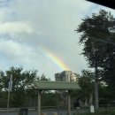 231 | 하와이에서 인천｜아시아나 OZ231 비상구좌석 &amp; 기내식 후기