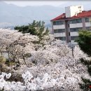 동산로 이미지