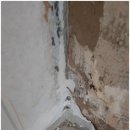 연제구-031 이미지