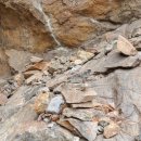 무주 한옥스테이 라제 이미지