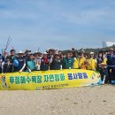 정화 - 남구 | 정화