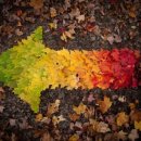 참별공인중개사사무소 이미지