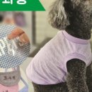 펫 디자인(강아지 옷 만들기) 이미지