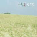 메밀꽃필무렵 이미지