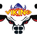 바이킹짐 이미지