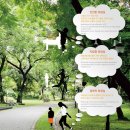 선일에코 이미지