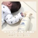 린 | 구강기 아기 장난감 소독스프레이 베베린 토이클리너 후기