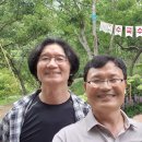 월아산 우드랜드 이미지
