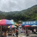 고수동굴 주차장 | [단양고수동굴] 동굴초보의 고수동굴 방문 후기(소요시간, 주차장, 입장료 등)