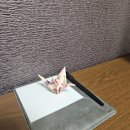 엔클렉스 오사카 4월 시험 합격 후기/기출 복기-1