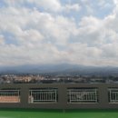 오늘, 제주 이미지