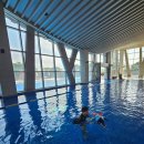 구르는 제주 | 제주신화월드 서머셋 탐모라 수영장 방문 후기 풀사이드바 비추천