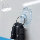 그라티아 이미지