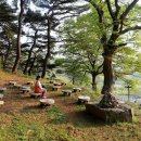 내야지천 | 참외의 고장 성주 560년 성산 이씨 집성촌