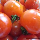 소문난빈대떡 이미지