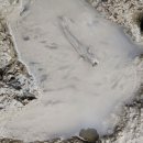 무안황토갯벌랜드B 이미지