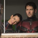팀앤트(TEAM ANT) | 영화: 앤트맨과 와스프 (Ant-Man and the Wasp) 정보 출연진 줄거리, 결말,추천 이유,감상평 요약