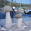 동해안로L 이미지