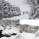 오즈의목장 이미지