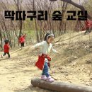 노벨 유치원 이미지